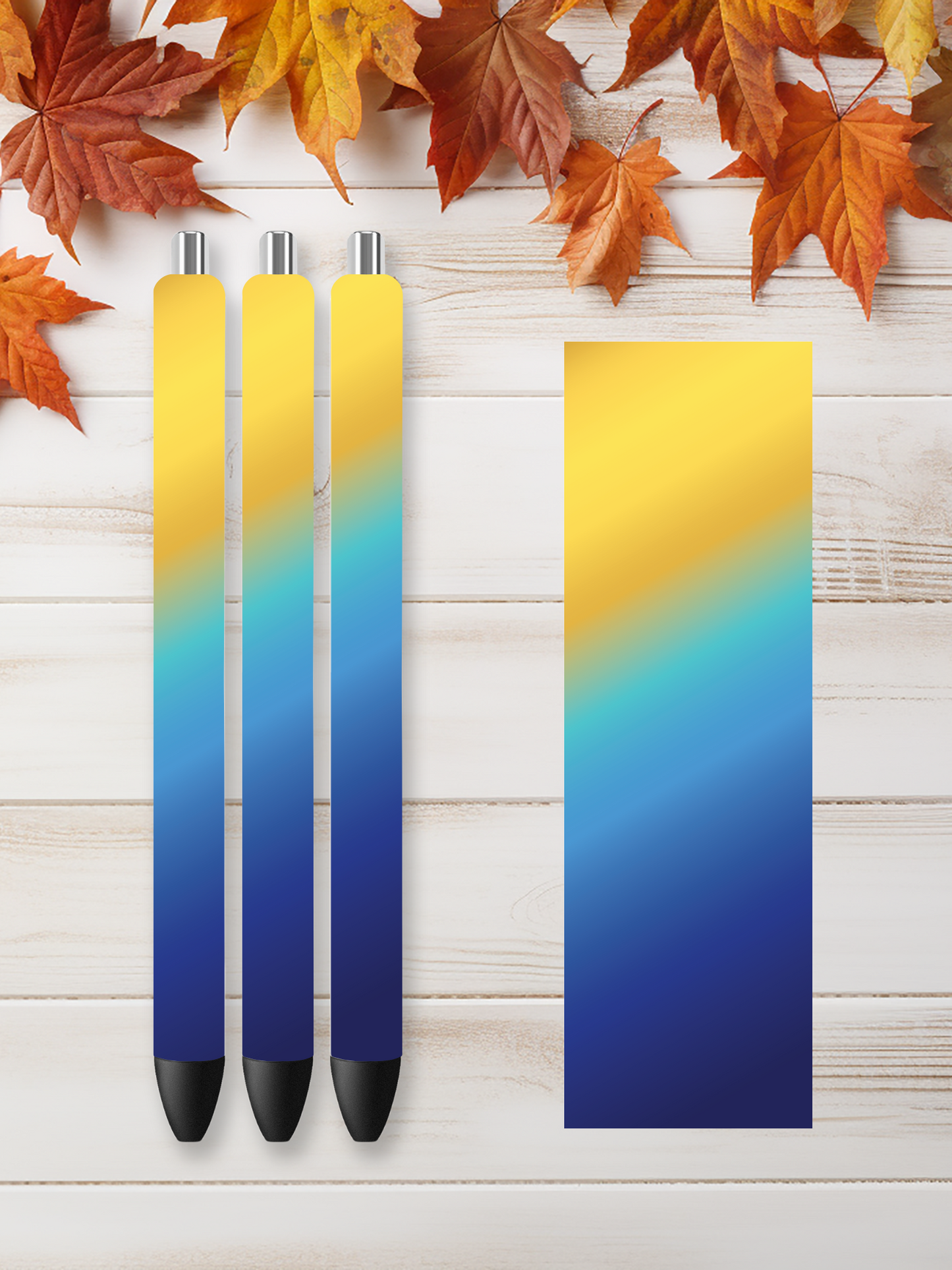 Rainbow 11