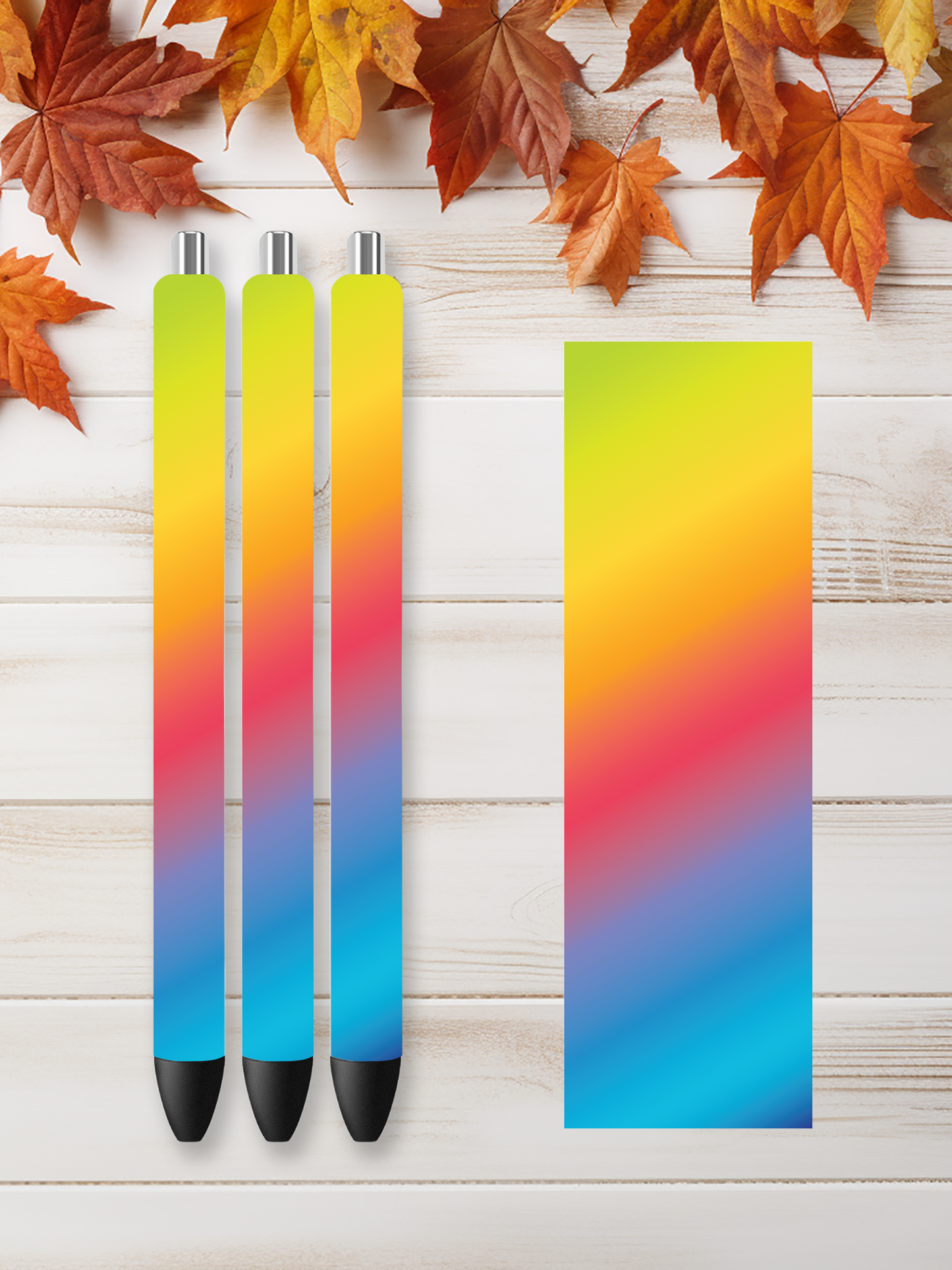 Rainbow 22