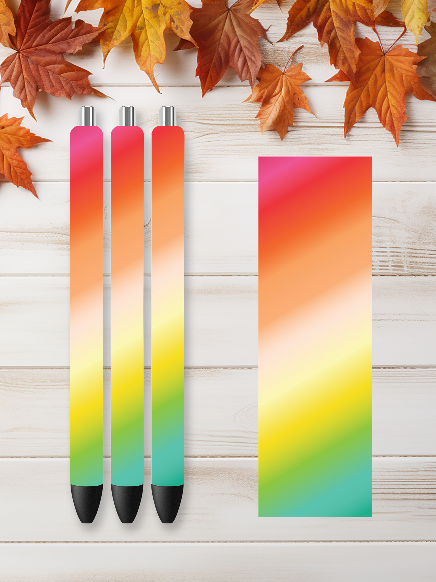 Rainbow 23